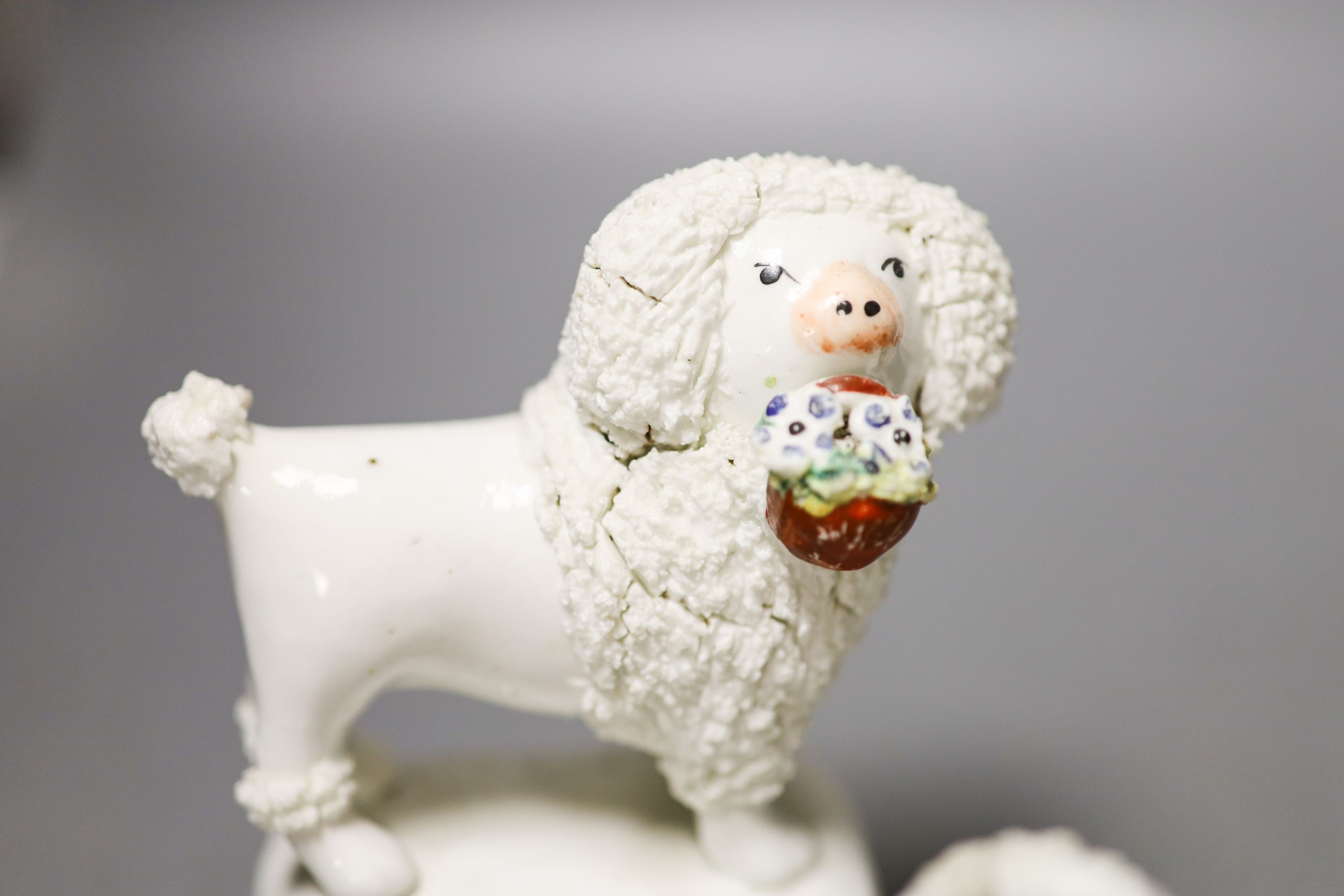 Four Staffordshire porcelain figures of poodles holding a basket of flowers, c.1830-50, one modelled with shells to the base 12cm